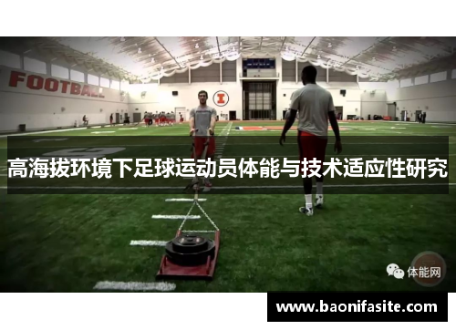 高海拔环境下足球运动员体能与技术适应性研究